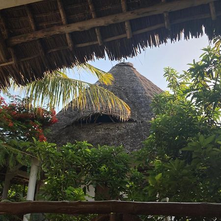 Pasa Lodge Zanzibar 눙귀 외부 사진