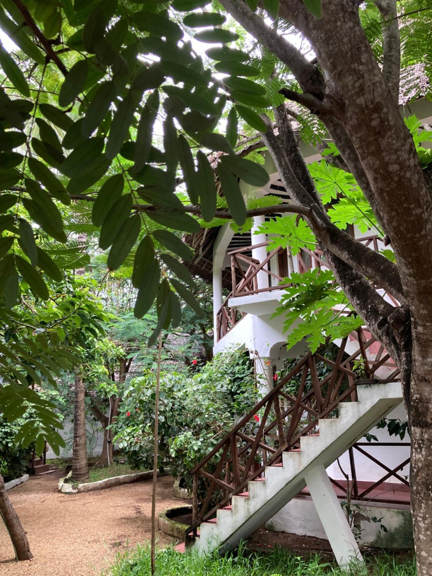 Pasa Lodge Zanzibar 눙귀 외부 사진