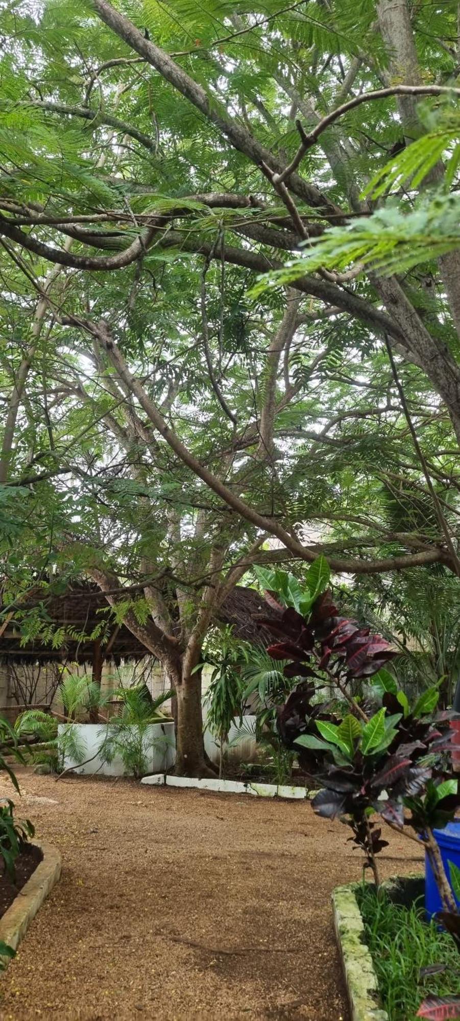 Pasa Lodge Zanzibar 눙귀 외부 사진